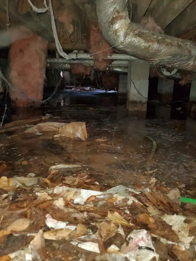 Crawl space flood assessment for Leak Detection & Repair in Fernley