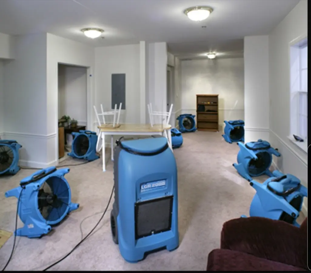 Air movers and dehumidifier setup for Water Extraction & Removal in Fernley
