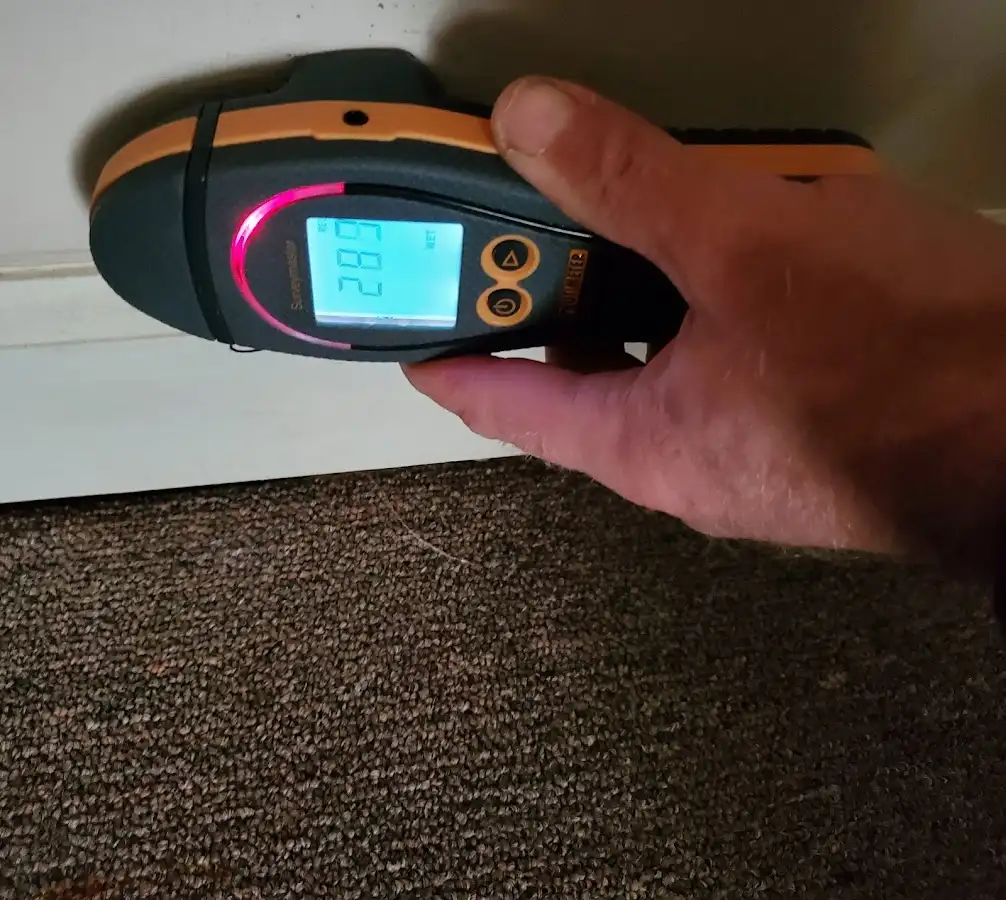 Moisture detection at baseboard during Mold Inspection & Testing in Fernley